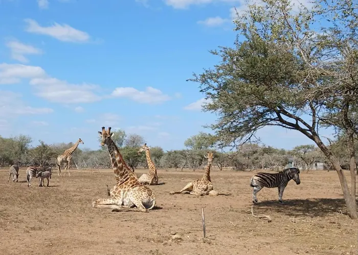 Marloth Kruger View