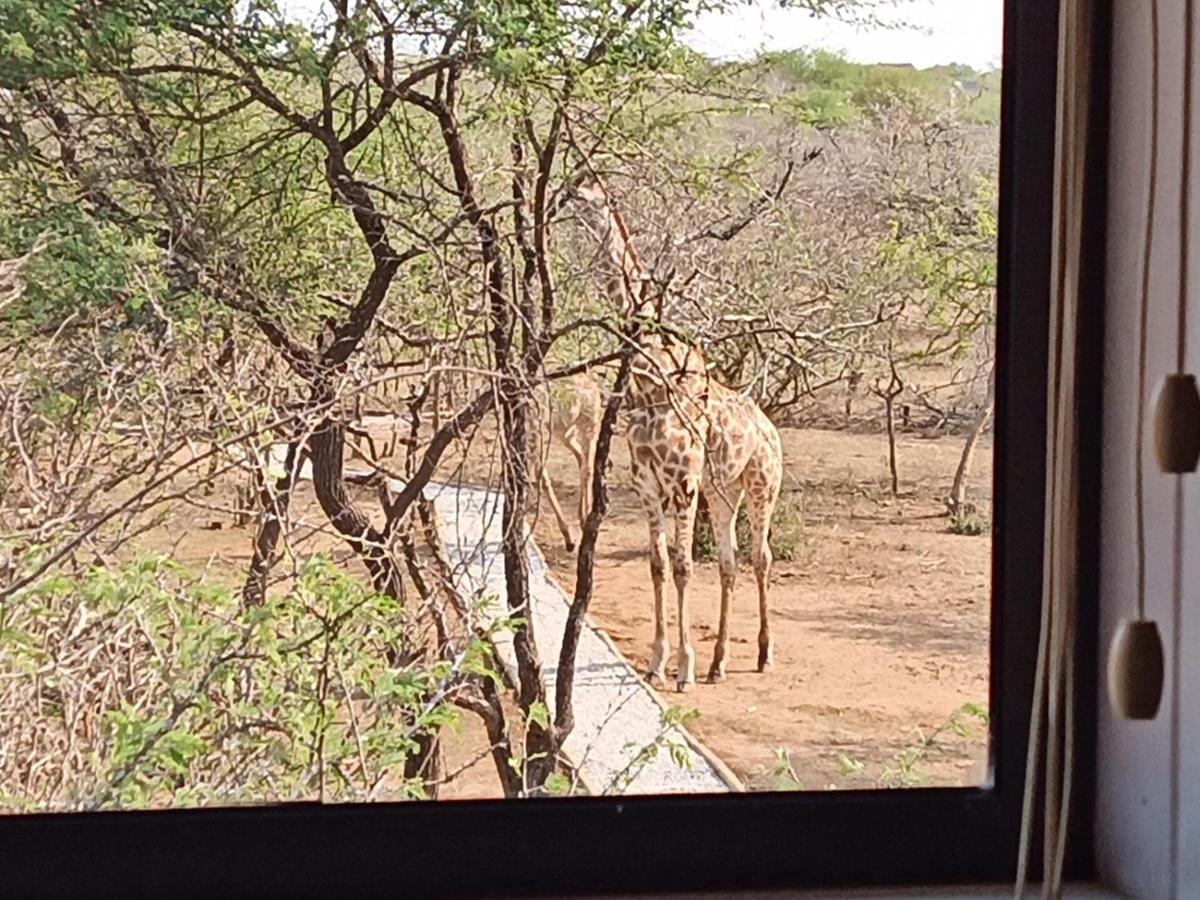 Apartment Marloth Kruger View