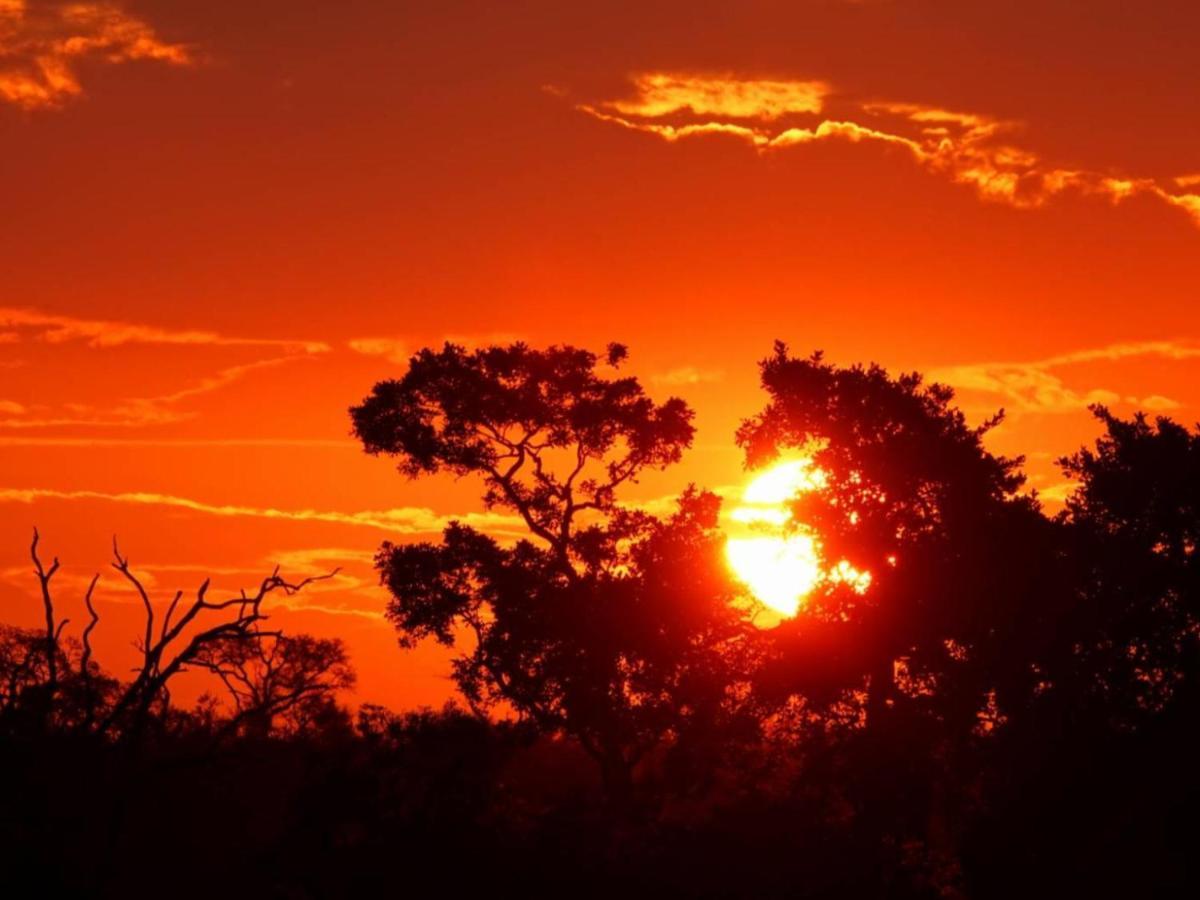 Marloth Kruger View *